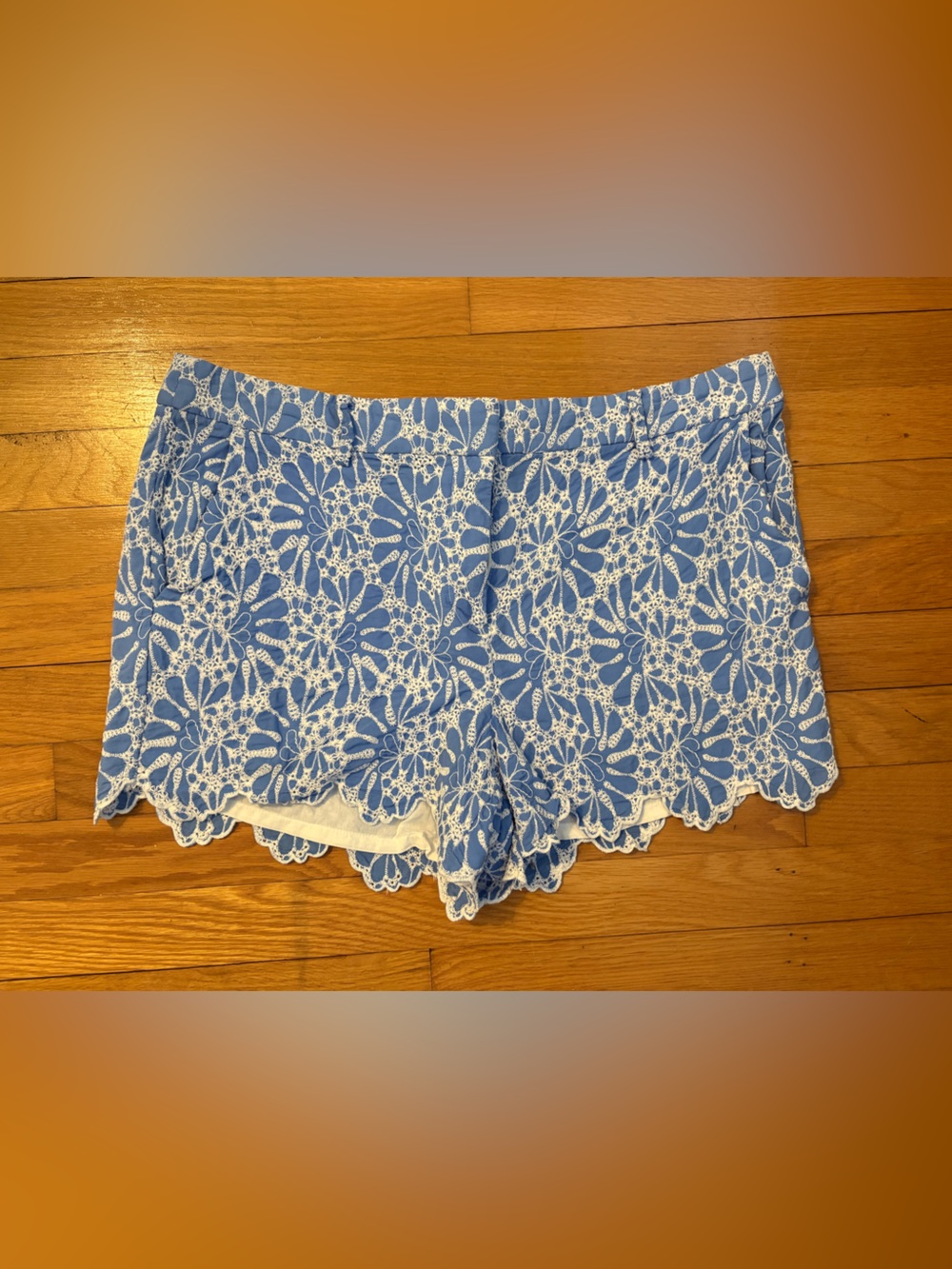 LOFT Blue and White Floral Embroidered Shorts